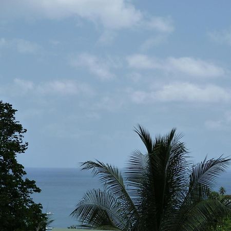 Les Hauts De Deshaies Exterior photo